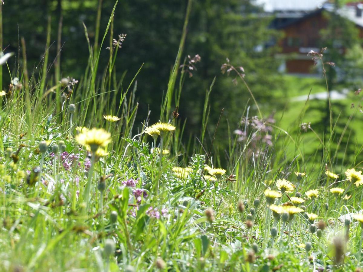 Alpinresortmontafon Garni Гарделен Екстериор снимка