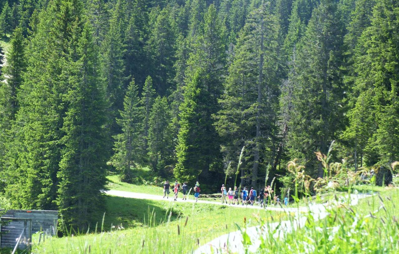 Alpinresortmontafon Garni Гарделен Екстериор снимка